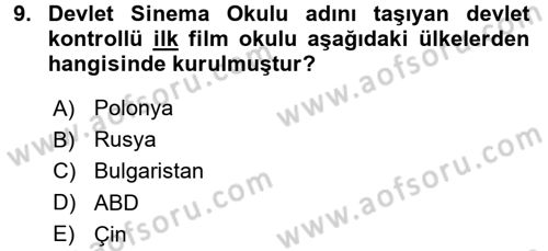 Hareketli Görüntünün Tarihi Dersi 2015 - 2016 Yılı (Final) Dönem Sonu Sınav Soruları 9. Soru