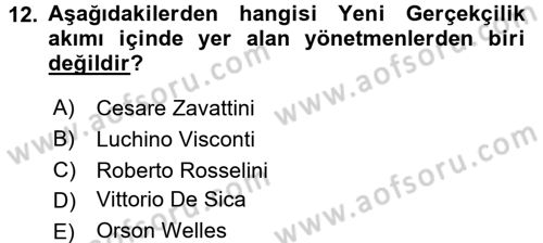 Hareketli Görüntünün Tarihi Dersi 2015 - 2016 Yılı Tek Ders Sınav Soruları 12. Soru