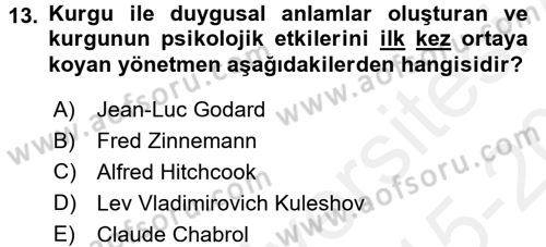 Hareketli Görüntünün Tarihi Dersi 2015 - 2016 Yılı Tek Ders Sınav Soruları 13. Soru