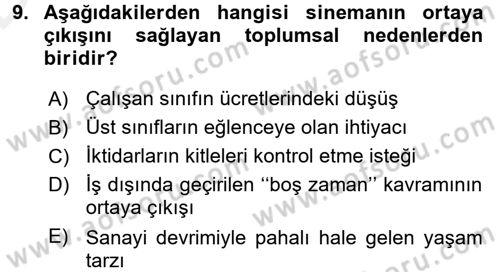 Hareketli Görüntünün Tarihi Dersi 2015 - 2016 Yılı Tek Ders Sınav Soruları 9. Soru