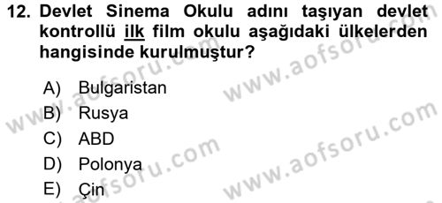 Hareketli Görüntünün Tarihi Dersi 2016 - 2017 Yılı 3 Ders Sınav Soruları 12. Soru