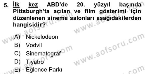 Hareketli Görüntünün Tarihi Dersi 2016 - 2017 Yılı 3 Ders Sınav Soruları 5. Soru