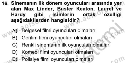 Hareketli Görüntünün Tarihi Dersi 2016 - 2017 Yılı (Vize) Ara Sınav Soruları 16. Soru