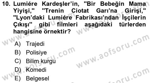 Hareketli Görüntünün Tarihi Dersi 2016 - 2017 Yılı (Final) Dönem Sonu Sınav Soruları 10. Soru