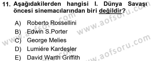 Hareketli Görüntünün Tarihi Dersi 2016 - 2017 Yılı (Final) Dönem Sonu Sınav Soruları 11. Soru