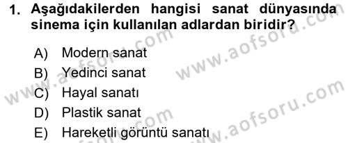 Hareketli Görüntünün Tarihi Dersi 2017 - 2018 Yılı 3 Ders Sınav Soruları 1. Soru