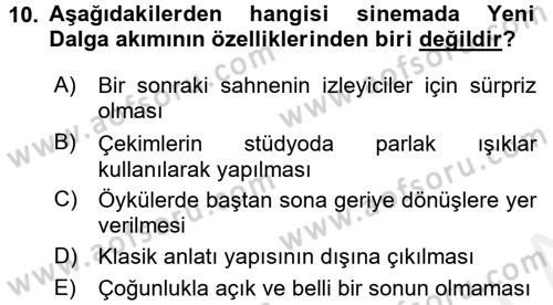 Hareketli Görüntünün Tarihi Dersi 2017 - 2018 Yılı 3 Ders Sınav Soruları 10. Soru