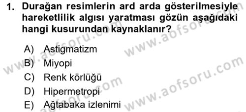 Hareketli Görüntünün Tarihi Dersi 2017 - 2018 Yılı (Vize) Ara Sınavı 1. Soru