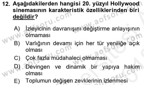 Hareketli Görüntünün Tarihi Dersi 2017 - 2018 Yılı (Vize) Ara Sınavı 12. Soru