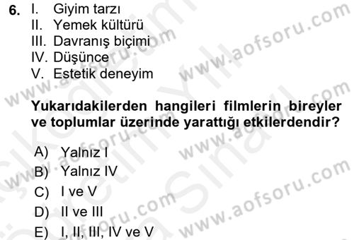 Hareketli Görüntünün Tarihi Dersi 2017 - 2018 Yılı (Vize) Ara Sınavı 6. Soru