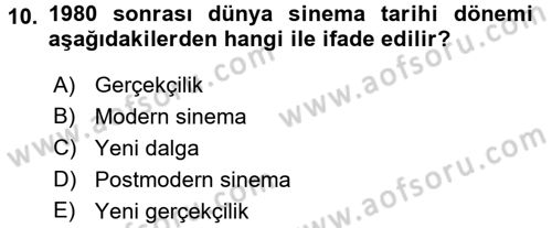 Hareketli Görüntünün Tarihi Dersi 2017 - 2018 Yılı (Final) Dönem Sonu Sınav Soruları 10. Soru