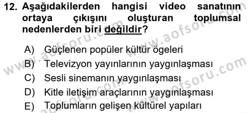 Hareketli Görüntünün Tarihi Dersi 2017 - 2018 Yılı (Final) Dönem Sonu Sınav Soruları 12. Soru