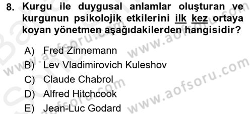 Hareketli Görüntünün Tarihi Dersi 2017 - 2018 Yılı (Final) Dönem Sonu Sınav Soruları 8. Soru