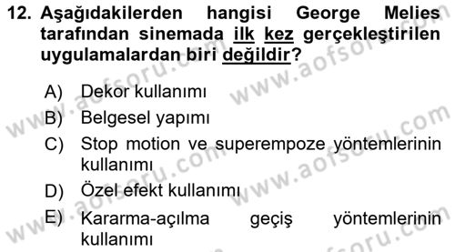 Hareketli Görüntünün Tarihi Dersi 2018 - 2019 Yılı 3 Ders Sınav Soruları 12. Soru