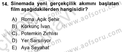 Hareketli Görüntünün Tarihi Dersi 2018 - 2019 Yılı 3 Ders Sınav Soruları 14. Soru