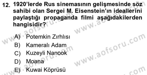 Hareketli Görüntünün Tarihi Dersi 2018 - 2019 Yılı (Vize) Ara Sınav Soruları 12. Soru