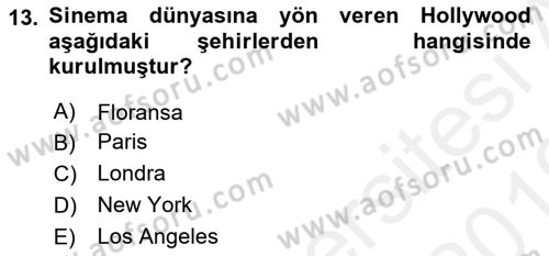 Hareketli Görüntünün Tarihi Dersi 2018 - 2019 Yılı (Vize) Ara Sınav Soruları 13. Soru