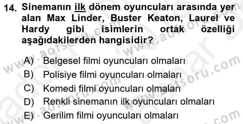 Hareketli Görüntünün Tarihi Dersi 2018 - 2019 Yılı (Vize) Ara Sınav Soruları 14. Soru