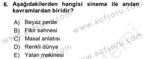 Hareketli Görüntünün Tarihi Dersi 2018 - 2019 Yılı (Vize) Ara Sınav Soruları 6. Soru