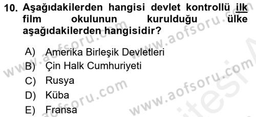 Hareketli Görüntünün Tarihi Dersi 2018 - 2019 Yılı (Final) Dönem Sonu Sınav Soruları 10. Soru