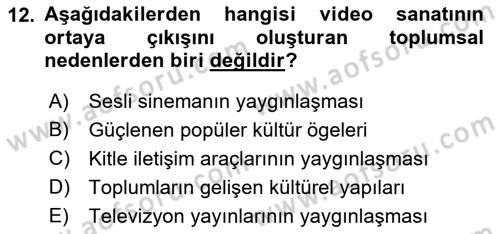 Hareketli Görüntünün Tarihi Dersi 2018 - 2019 Yılı (Final) Dönem Sonu Sınav Soruları 12. Soru