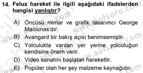 Hareketli Görüntünün Tarihi Dersi 2018 - 2019 Yılı (Final) Dönem Sonu Sınav Soruları 14. Soru