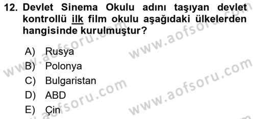 Hareketli Görüntünün Tarihi Dersi 2018 - 2019 Yılı Yaz Okulu Sınav Soruları 12. Soru