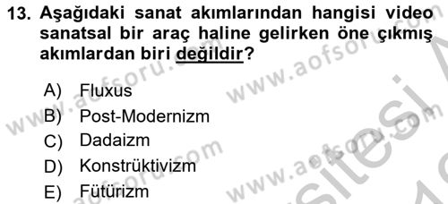 Hareketli Görüntünün Tarihi Dersi 2018 - 2019 Yılı Yaz Okulu Sınav Soruları 13. Soru