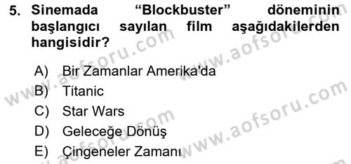 Hareketli Görüntünün Tarihi Dersi 2018 - 2019 Yılı Yaz Okulu Sınav Soruları 5. Soru