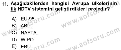 Hareketli Görüntünün Tarihi Dersi 2020 - 2021 Yılı Yaz Okulu Sınav Soruları 11. Soru