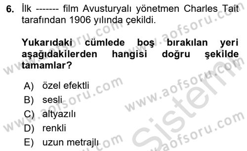 Hareketli Görüntünün Tarihi Dersi 2020 - 2021 Yılı Yaz Okulu Sınav Soruları 6. Soru