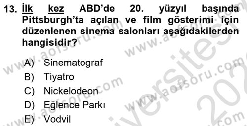 Hareketli Görüntünün Tarihi Dersi 2021 - 2022 Yılı (Vize) Ara Sınav Soruları 13. Soru