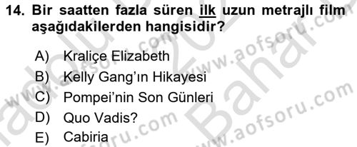 Hareketli Görüntünün Tarihi Dersi 2021 - 2022 Yılı (Vize) Ara Sınav Soruları 14. Soru