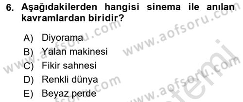 Hareketli Görüntünün Tarihi Dersi 2021 - 2022 Yılı (Vize) Ara Sınav Soruları 6. Soru