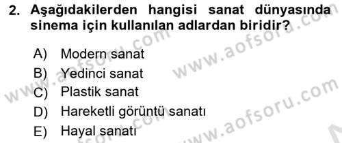 Hareketli Görüntünün Tarihi Dersi 2021 - 2022 Yılı (Final) Dönem Sonu Sınav Soruları 2. Soru