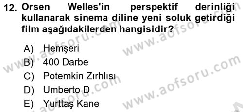 Hareketli Görüntünün Tarihi Dersi 2021 - 2022 Yılı Yaz Okulu Sınav Soruları 12. Soru