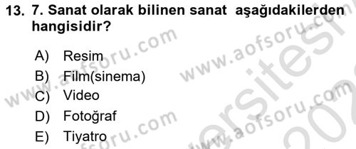 Hareketli Görüntünün Tarihi Dersi 2021 - 2022 Yılı Yaz Okulu Sınav Soruları 13. Soru