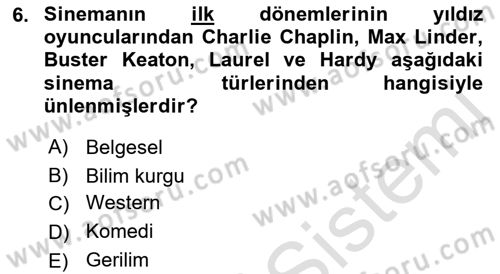 Hareketli Görüntünün Tarihi Dersi 2021 - 2022 Yılı Yaz Okulu Sınav Soruları 6. Soru