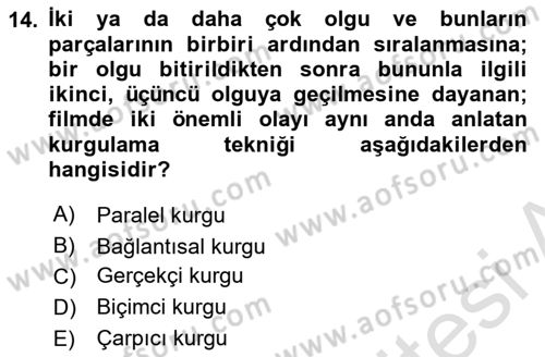 Hareketli Görüntünün Tarihi Dersi 2022 - 2023 Yılı Yaz Okulu Sınav Soruları 14. Soru