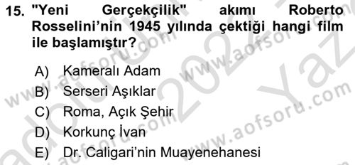 Hareketli Görüntünün Tarihi Dersi 2022 - 2023 Yılı Yaz Okulu Sınav Soruları 15. Soru
