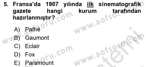 Hareketli Görüntünün Tarihi Dersi 2023 - 2024 Yılı (Final) Dönem Sonu Sınav Soruları 5. Soru