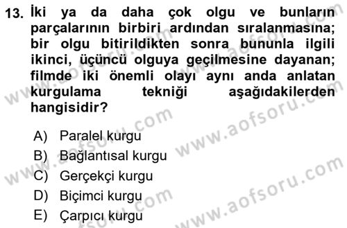 Hareketli Görüntünün Tarihi Dersi 2023 - 2024 Yılı Yaz Okulu Sınav Soruları 13. Soru