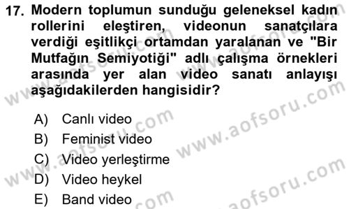 Hareketli Görüntünün Tarihi Dersi 2023 - 2024 Yılı Yaz Okulu Sınav Soruları 17. Soru