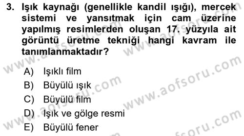 Hareketli Görüntünün Tarihi Dersi 2023 - 2024 Yılı Yaz Okulu Sınav Soruları 3. Soru