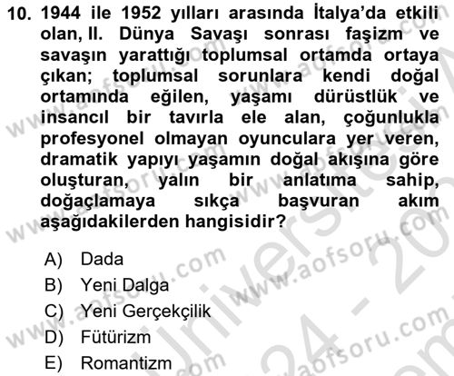 Hareketli Görüntünün Tarihi Dersi 2024 - 2025 Yılı (Final) Dönem Sonu Sınav Soruları 10. Soru