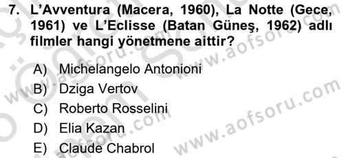 Hareketli Görüntünün Tarihi Dersi 2024 - 2025 Yılı (Final) Dönem Sonu Sınav Soruları 7. Soru