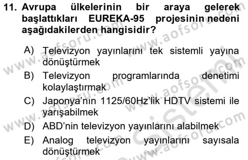 Hareketli Görüntünün Tarihi Dersi 2024 - 2025 Yılı Yaz Okulu Sınav Soruları 11. Soru