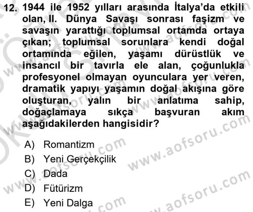 Hareketli Görüntünün Tarihi Dersi 2024 - 2025 Yılı Yaz Okulu Sınav Soruları 12. Soru