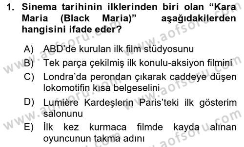 Hareketli Görüntünün Tarihi Dersi 2025 - 2026 Yılı (Vize) Ara Sınav Soruları 1. Soru