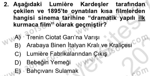 Hareketli Görüntünün Tarihi Dersi 2025 - 2026 Yılı (Vize) Ara Sınav Soruları 2. Soru